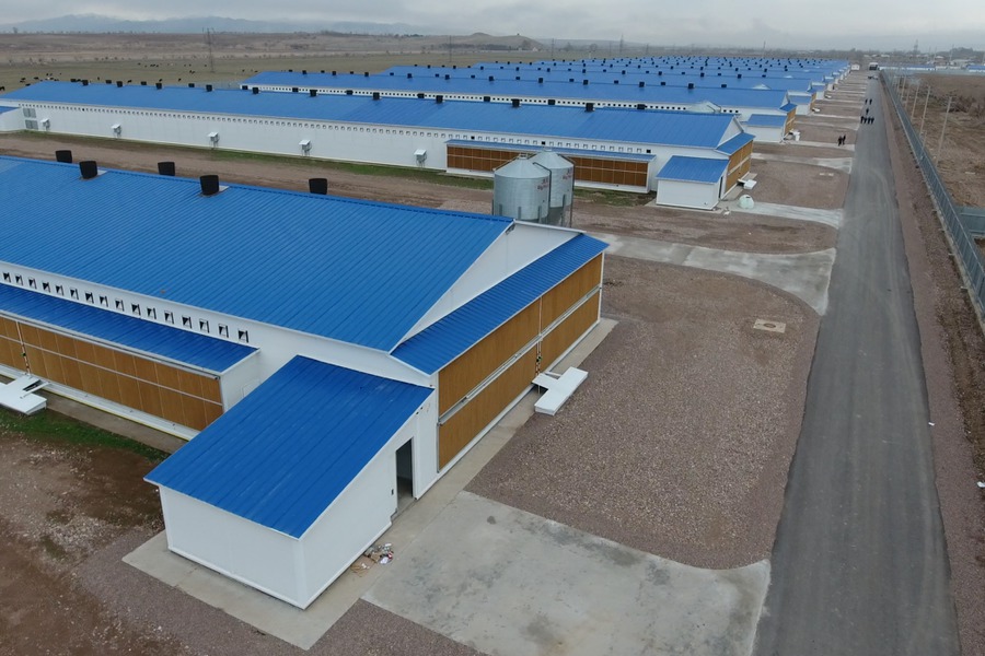 Saxovat Poultry Complex Construction