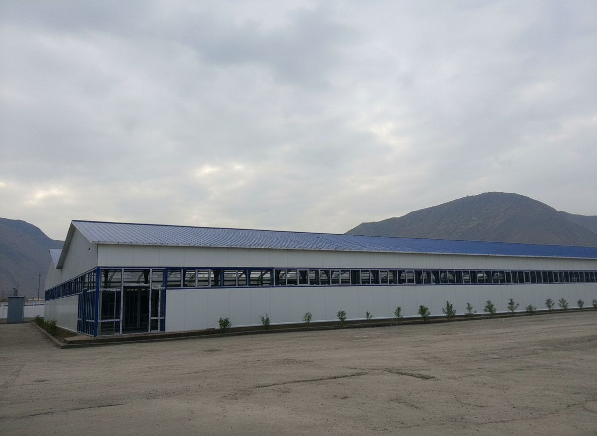 Warehouse Construction, So'x